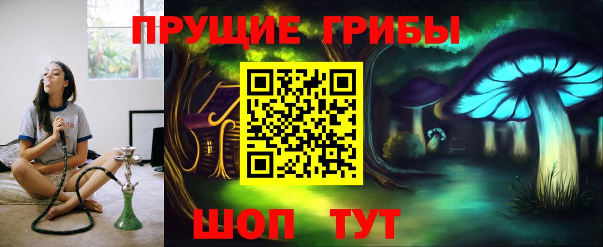 Псилоцибиновые грибы прущие грибы Кропоткин